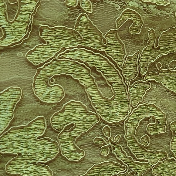 Dusty rose poly spandex  creates a lovely designer dress. I wish it fit me! - Picture 3 of 12